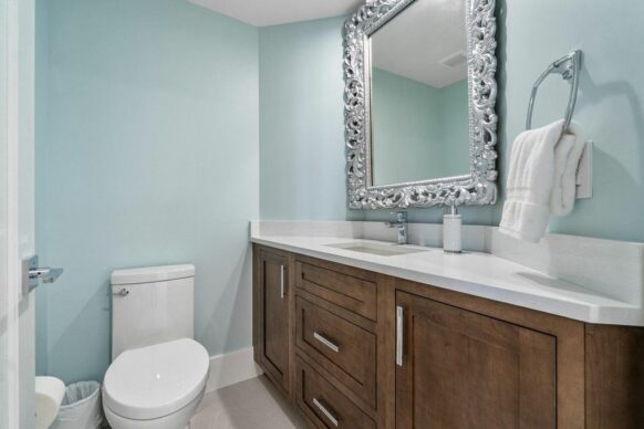 Contemporary Decora Bathroom Cabinets and Quartz Counters