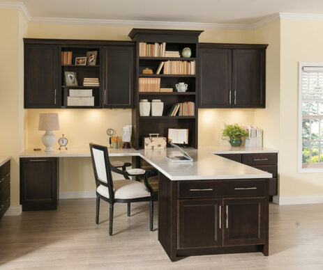 Hanlon Featured Chocolate Wood Office Cabinets