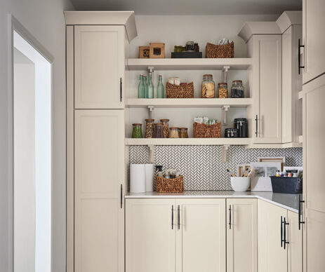 Leeton Featured Gray Kitchen Cabinets