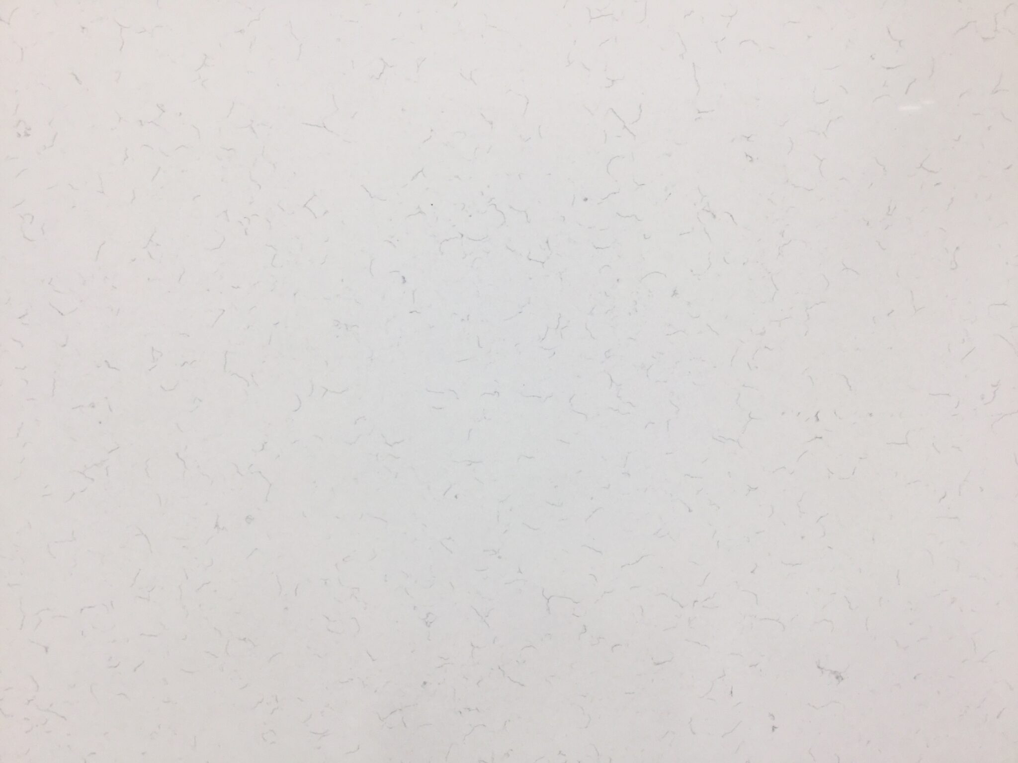 Reliance Quartz Calacatta Carrara Bianco Counter