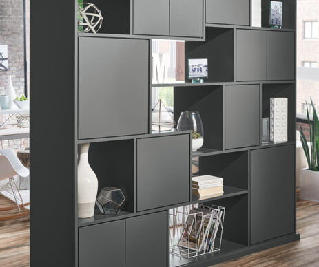 Trystan Featured Dark Gray Room Divider Cabinet